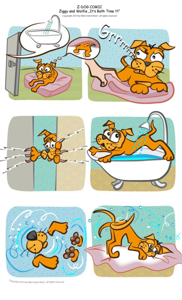 Copyright by Miriam Selmi Reed - All rights reserved